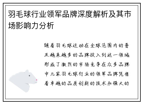 羽毛球行业领军品牌深度解析及其市场影响力分析